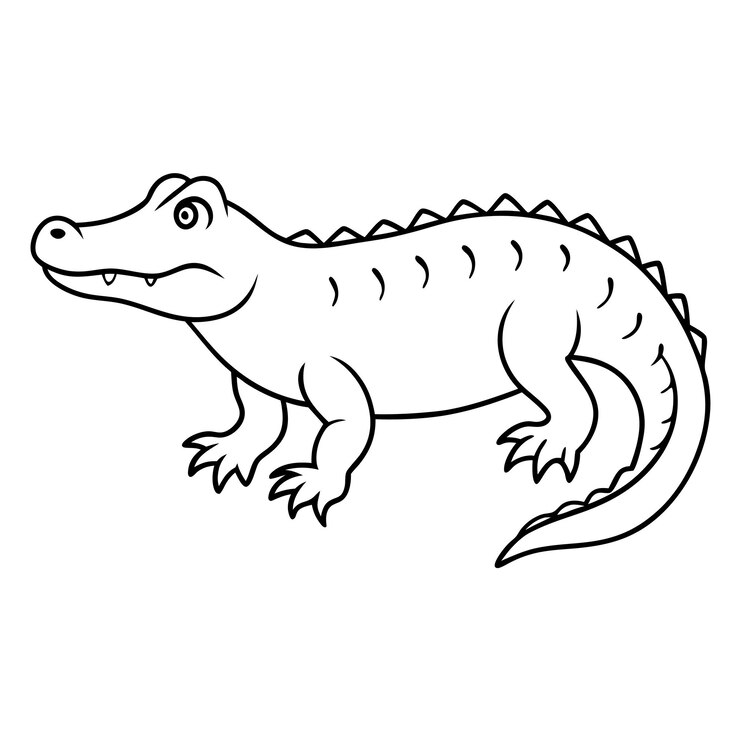 Vetor um desenho de um crocodilo com um fundo branco que diz "crocodilo"
