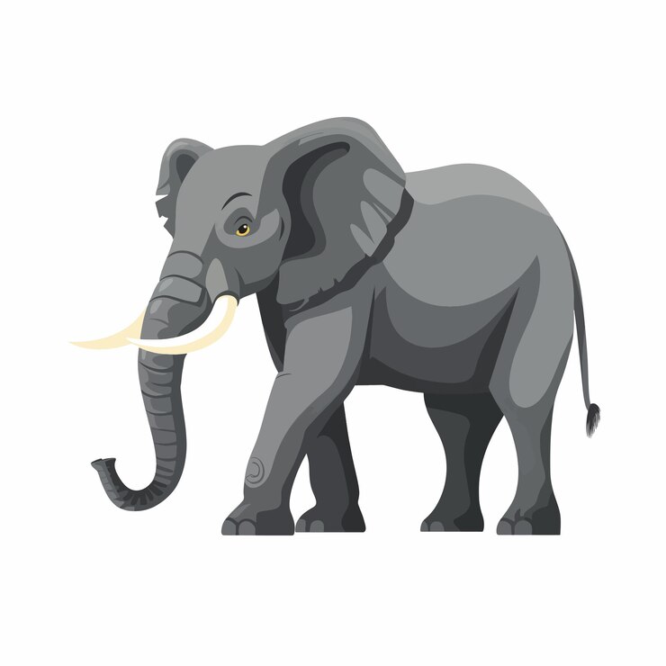 Vetor um desenho de um elefante com presas nele