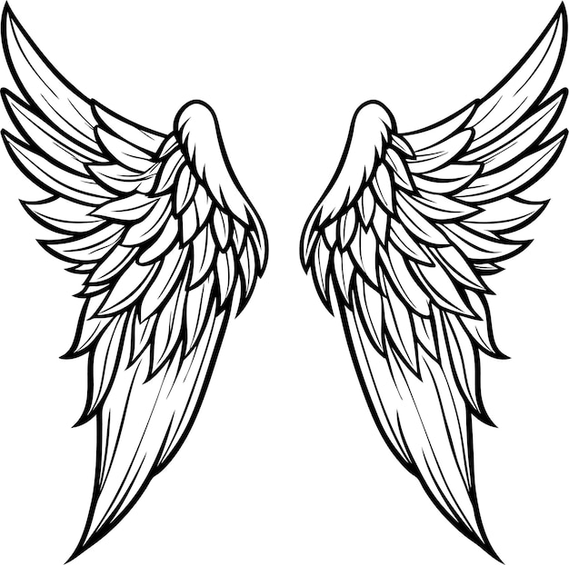 um desenho de um par de asas de anjo com um contorno preto