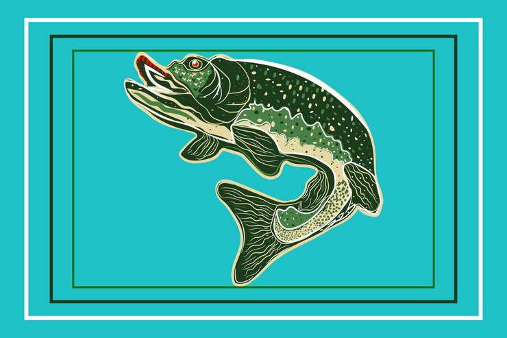 Vetor um desenho de um peixe que tem um peixe nele