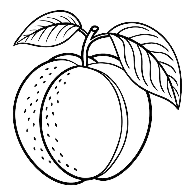 um desenho de um pêssego com uma folha desenhada nele
