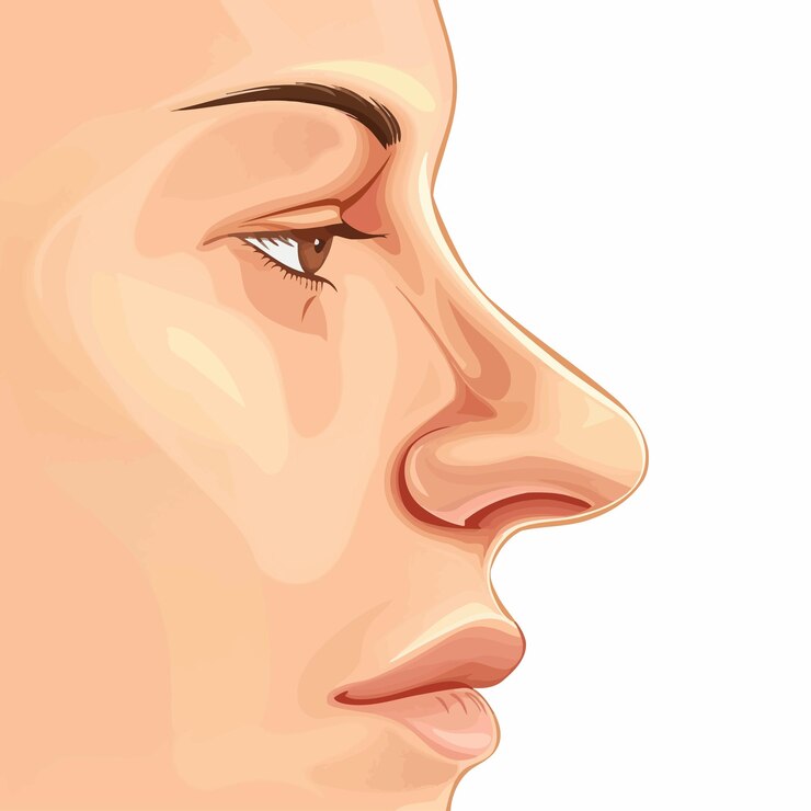 Vetor um desenho de um rosto de mulher com um nariz longo