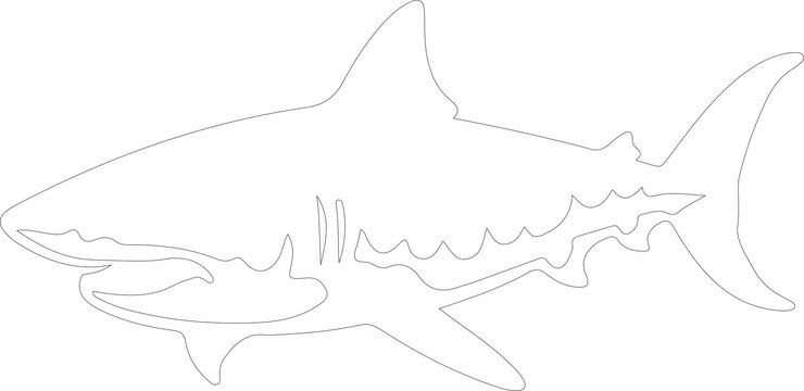 Vetor um desenho de um tubarão com uma estrela-do-mar na cauda