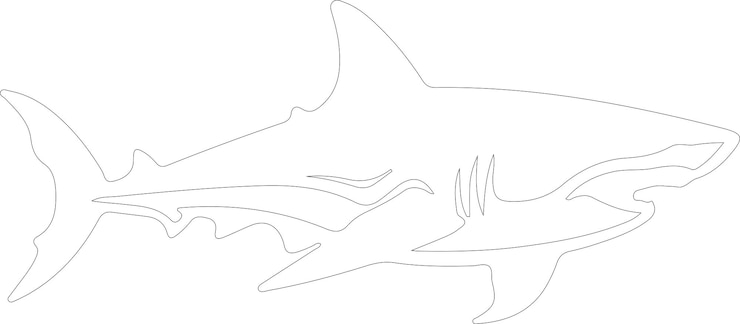 Vetor um desenho de um tubarão que foi desenhado por uma baleia