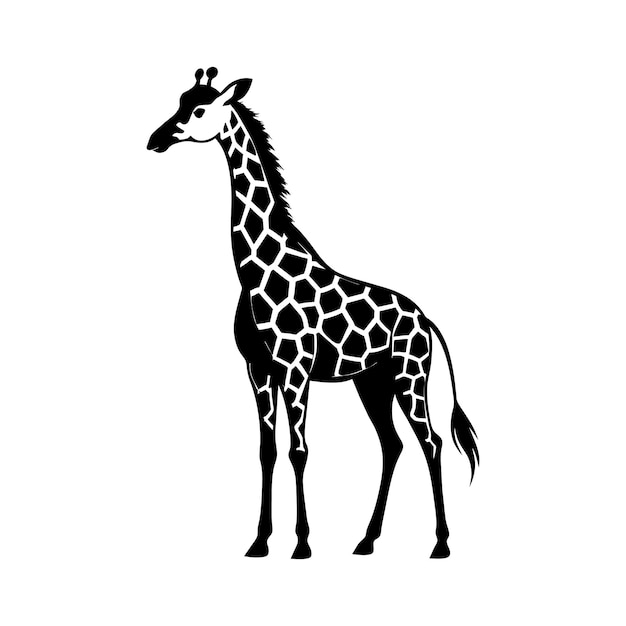 Um desenho de uma girafa em um fundo branco