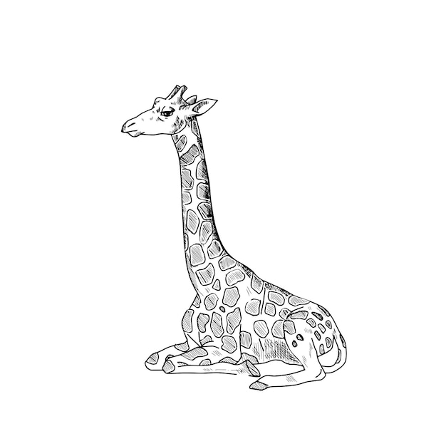 Um desenho de uma girafa