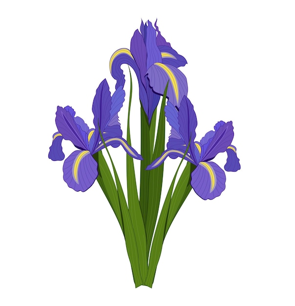 um desenho de uma íris roxa com flores amarelas e azuis