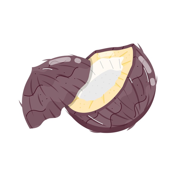 Vetor um desenho de uma noz meio comida com um fundo marrom e branco