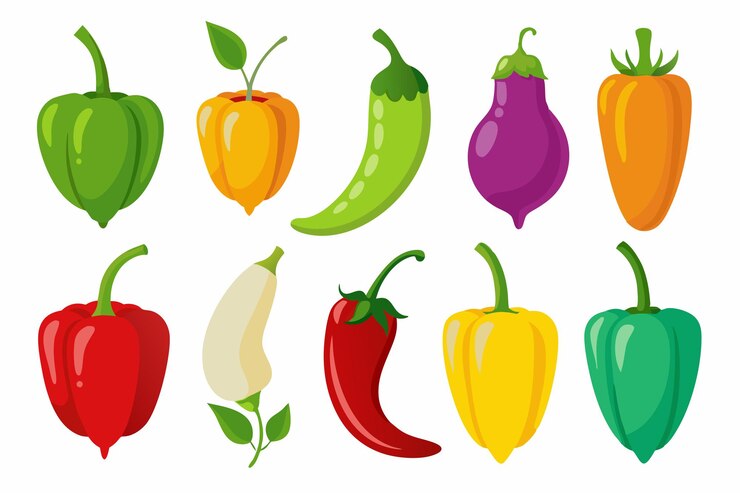 Vetor um desenho de uma variedade de vegetais, incluindo uma pimenta