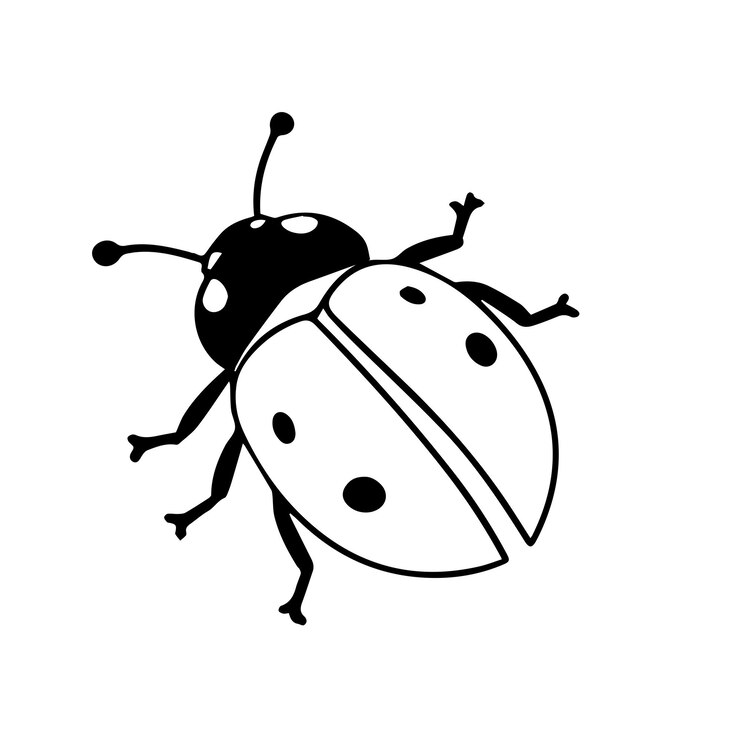 Vetor um desenho em preto e branco de um inseto mulher com uma mancha preta em sua parte de trás