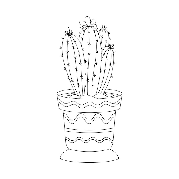 Cactus. Кактус. PNG. em 2023  Arte com cactos, Cactos desenho