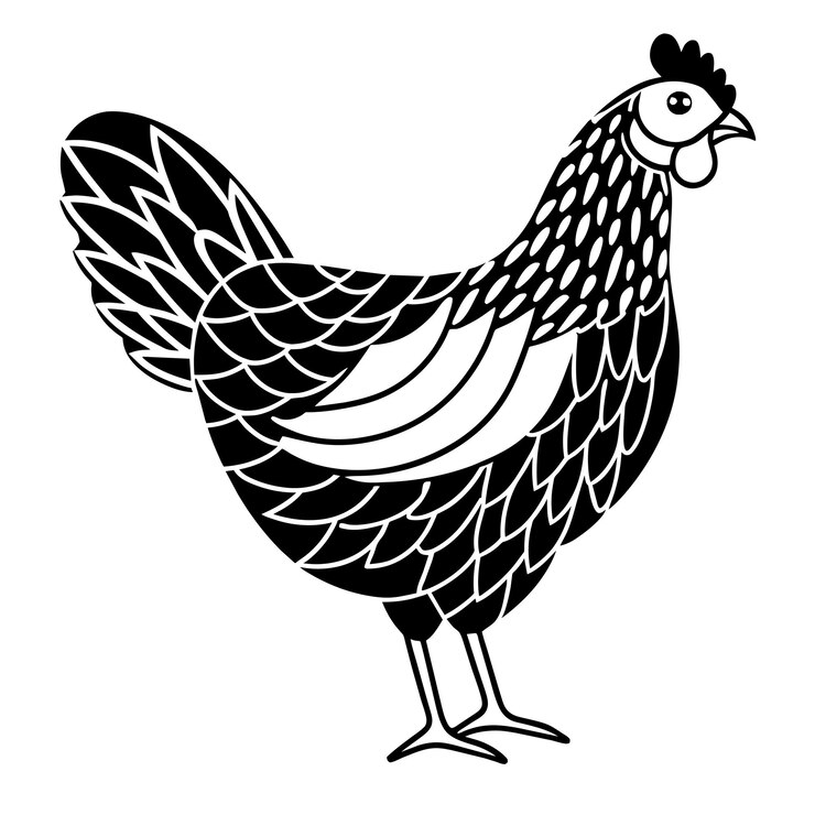 Vetor um desenho preto e branco de uma galinha com um galo nele