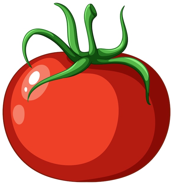 Vetor um desenho simples de tomate isolado