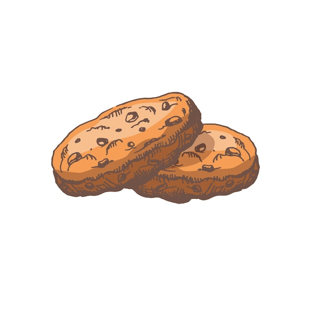 Um esboço colorido desenhado à mão de biscoitos caseiros com lascas de chocolate doodle de ilustração vintage elemento para o design de embalagens de rótulos e cartões postaisxa