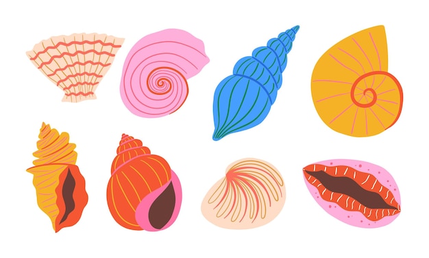 Um feixe de conchas coloridas desenhado à mão