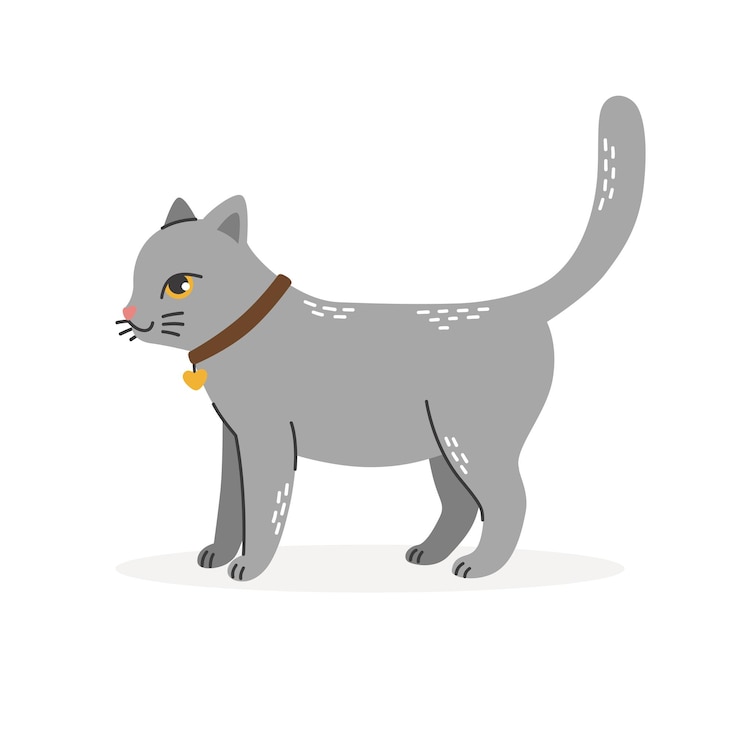 Vetor um gato cinzento com um pingente e um colar no pescoço está petscartoon ilustração vetorial em um branco