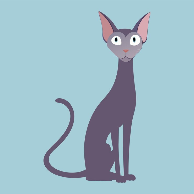 Vetor um gato com olhos grandes senta-se em um fundo azul