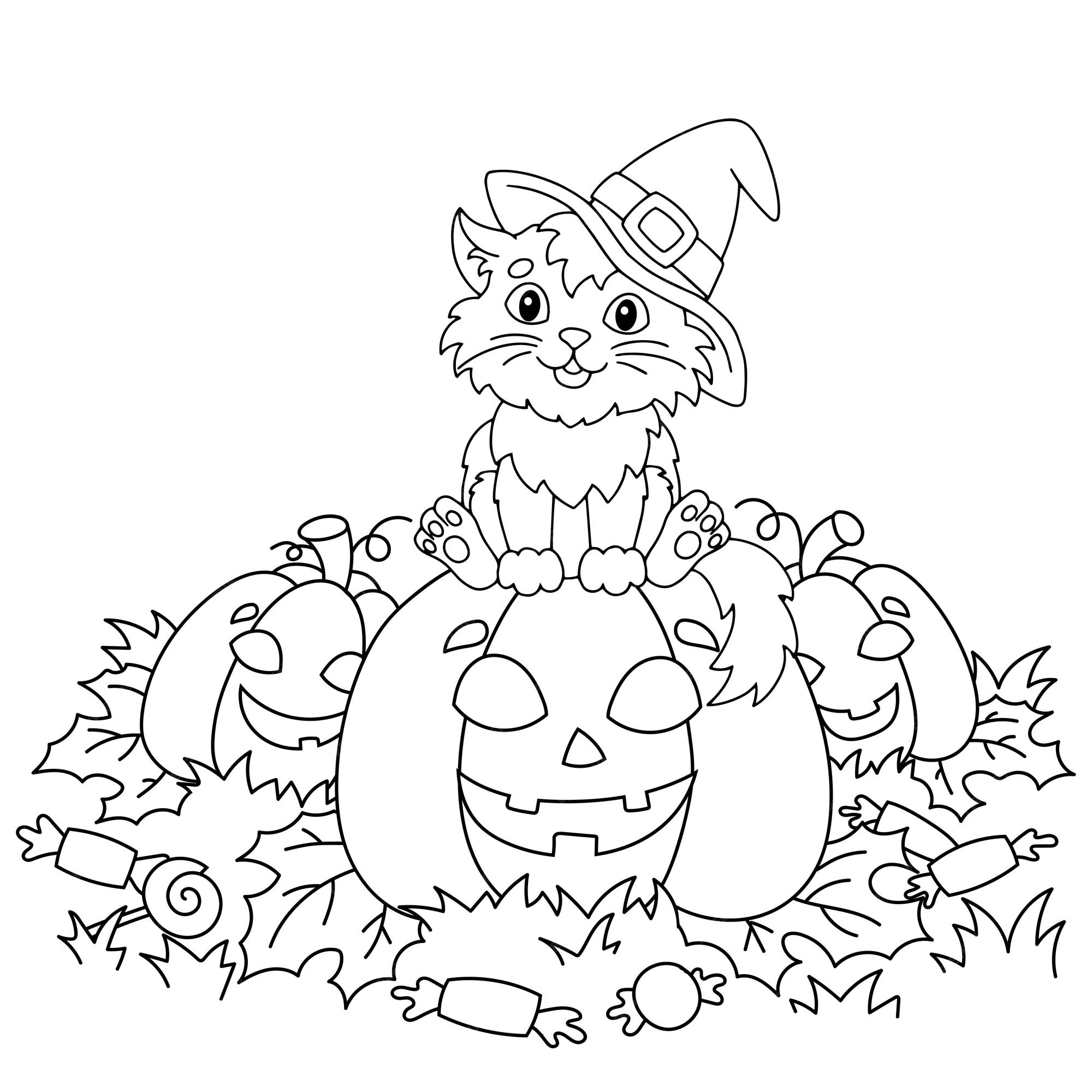 página para colorir fofa para o halloween com uma garota com um chapéu de  bruxa, com uma vassoura na mão, com abóboras e um gato. delinear a  ilustração do vetor. 3566742 Vetor