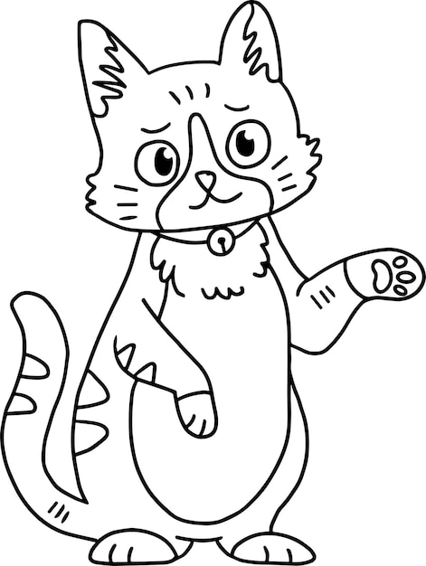 Um gato com uma coleira está sentado no chão