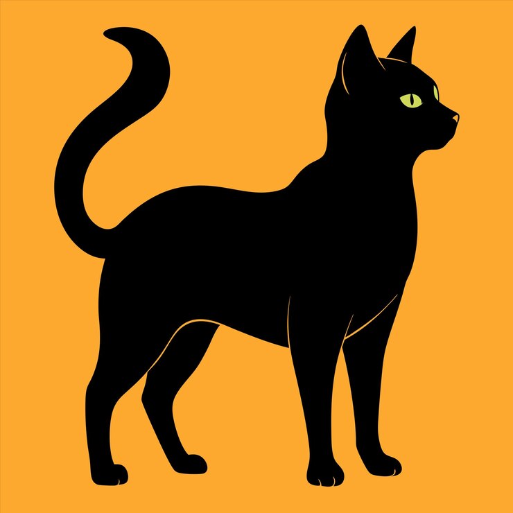Vetor um gato preto com um fundo amarelo que diz a palavra citação