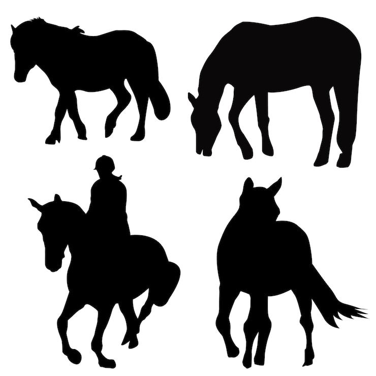 Vetor um homem andando a cavalo com um cavalo nele conjunto de grupos de cavalos de silhueta
