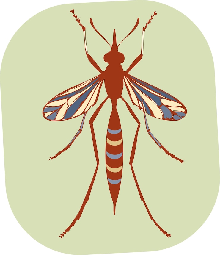Vetor um inseto listrado vermelho e azul com um corpo longo