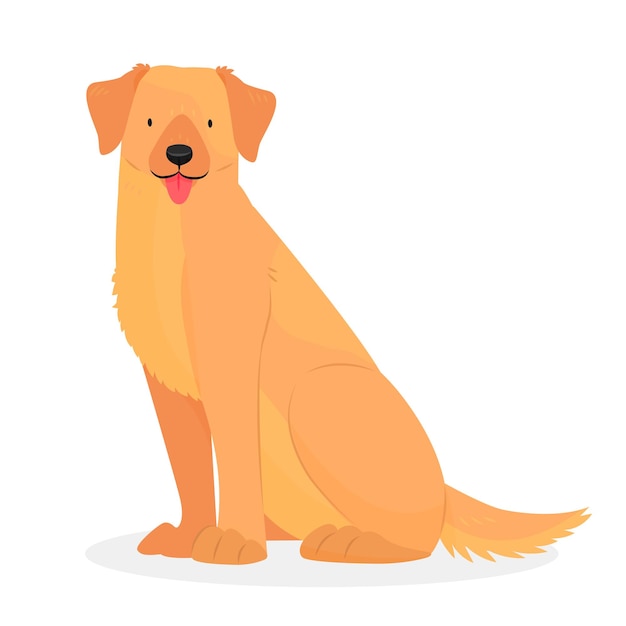 Um labrador ou retriever dourado com a língua de fora está sentado como cachorro isolado