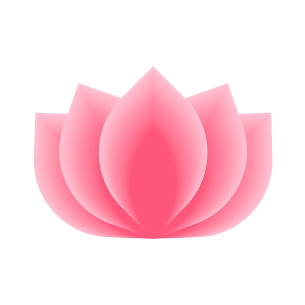 Um lótus rosa.