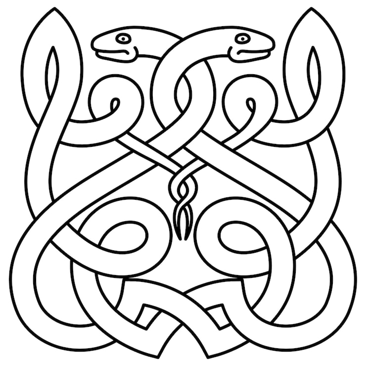 Vetor um nó celta com uma cobra no meio