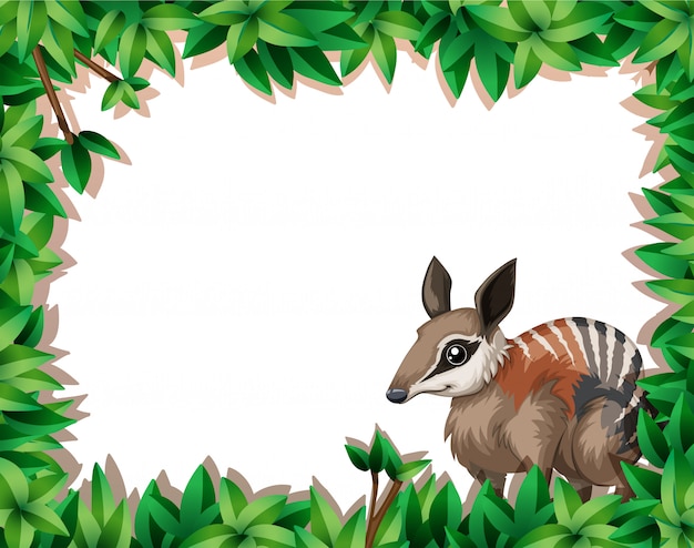 Um numbat no quadro da natureza