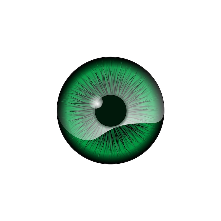 Vetor um olho verde com uma faixa preta e a palavra olho nele.