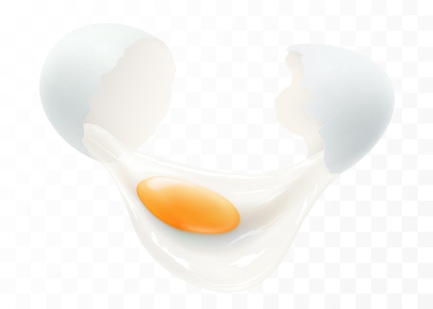 Vetor um ovo branco quebrado isolado em um fundo transparente a proteína e a gema fluíram de uma casca de ovo quebrada closeup ilustração horizontal do ovo rachado realista design vetorial 3d