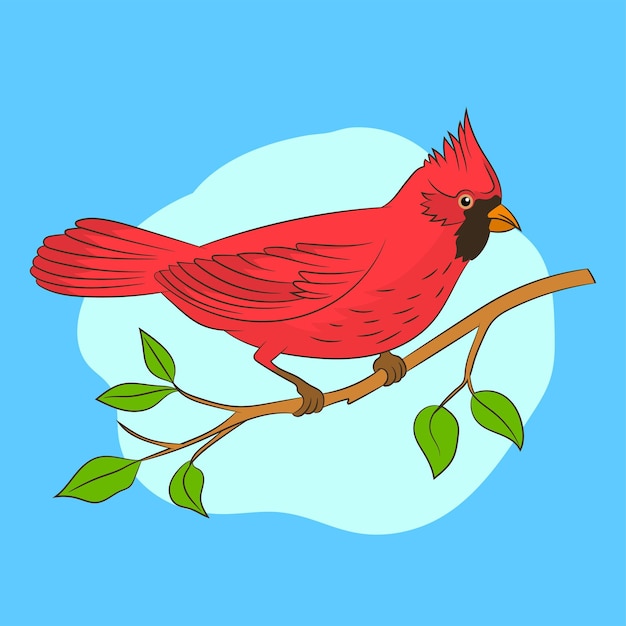 Um pássaro vermelho o macho cardeal do norte