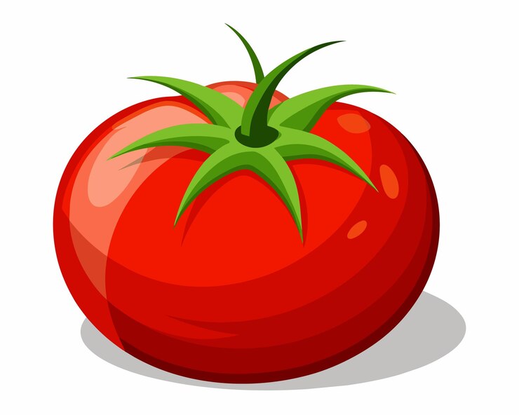 Vetor um tomate vermelho com um caule verde