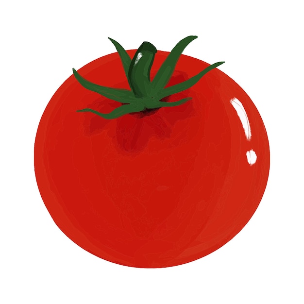 Um tomate vermelho com uma haste verde nele ingrediente alimentar