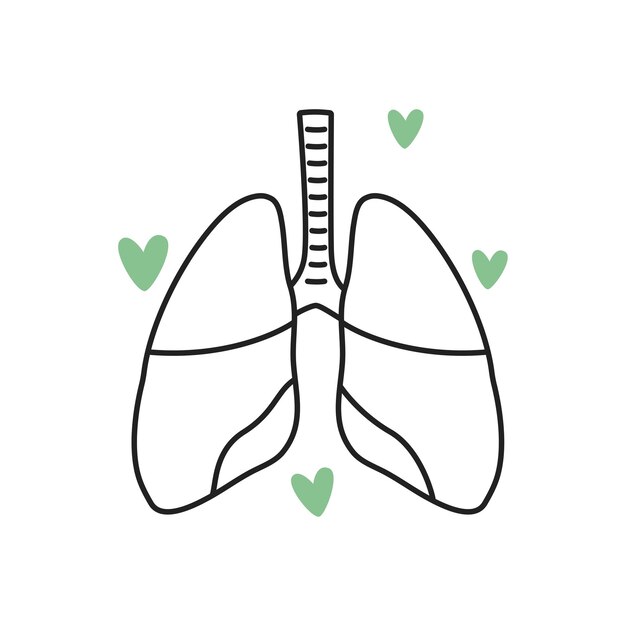 Vetor um traço de contorno de um pulmão com vetor de corações verdes e verdes