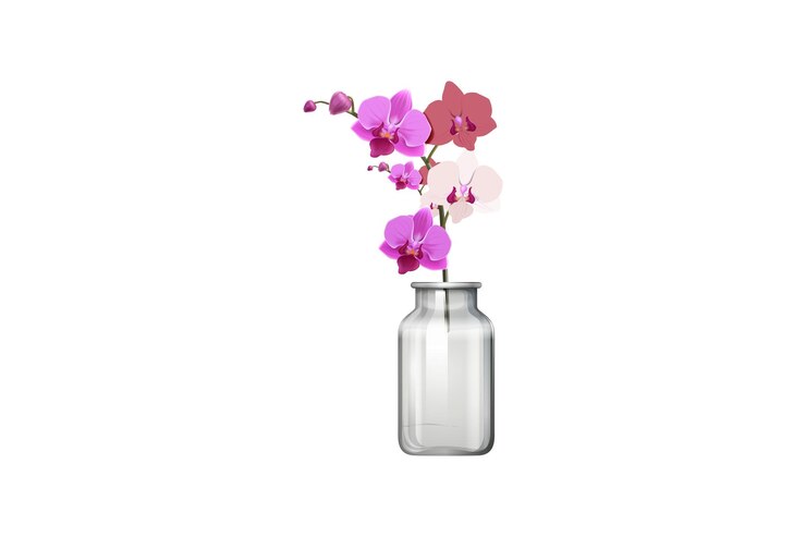 Vetor um vaso com flores e um fundo branco