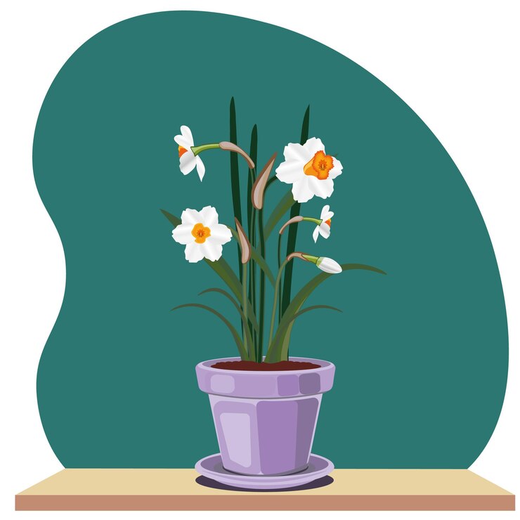 Um vaso de flores com narcisos em um fundo verde.