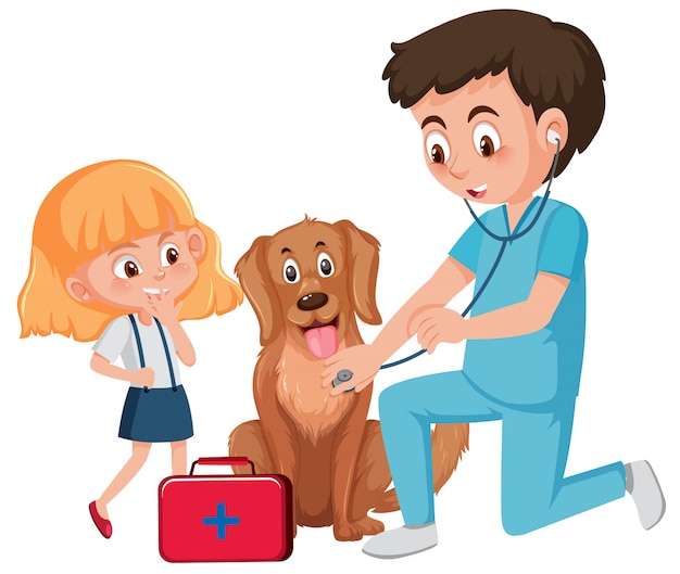 Um veterinário cuidando do cão