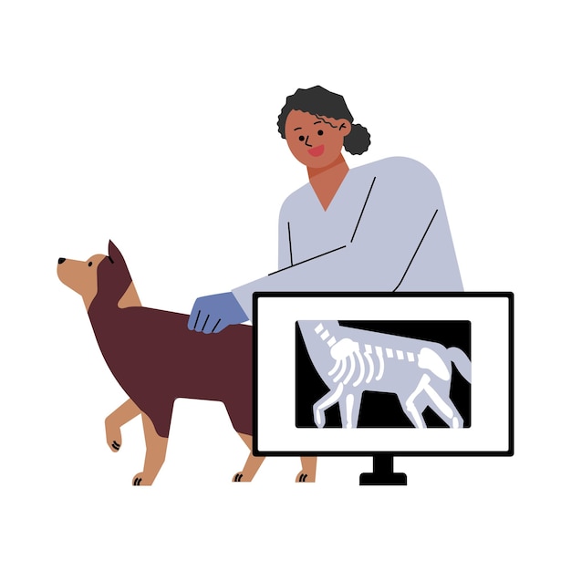 Vetor um veterinário feminino está verificando um raio-x de um cão. ilustração vetorial plana.