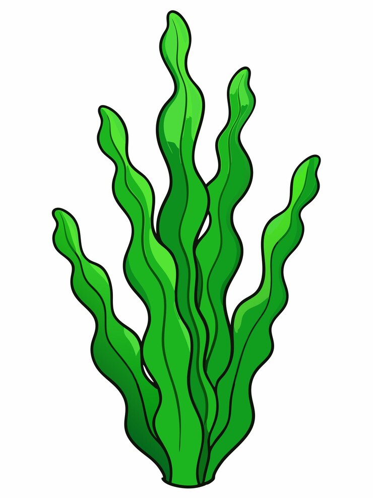 Vetor uma algas verdes com uma algas verdes sobre ela