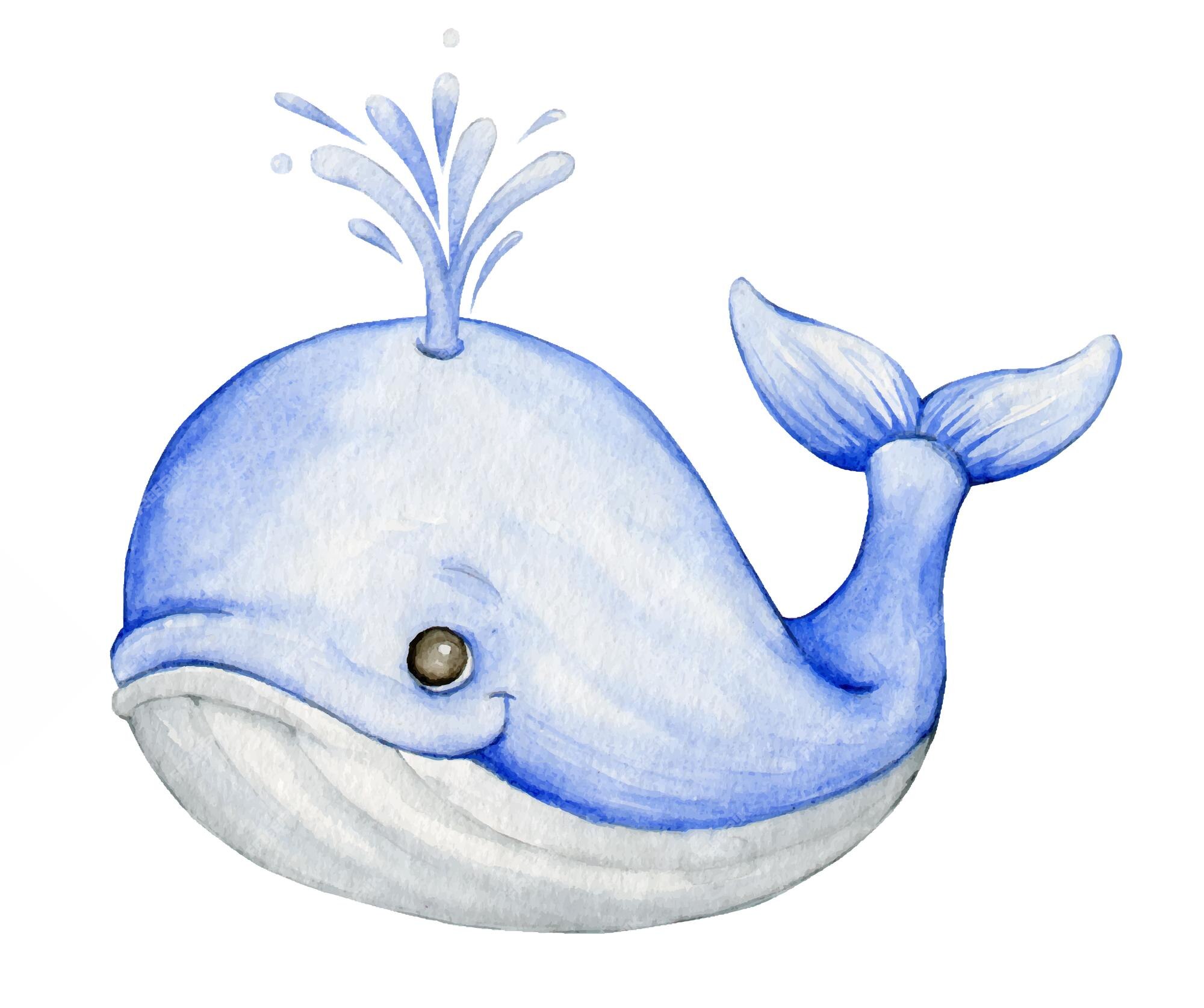 Baleia Pintada Baleia Cor Baleia Em Aquarela Baleia Dos Desenhos Animados  PNG , Baleia Em Aquarela, De, Baleia Cor Imagem PNG e PSD Para Download  Gratuito