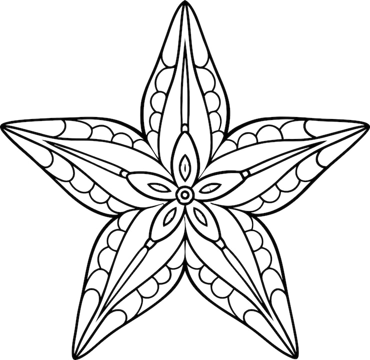 Vetor uma bela estrela-do-mar adulto página de colorir alívio do estresse mandala desenhos de animais