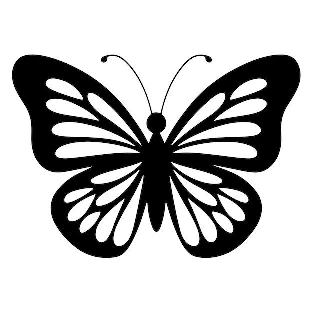 uma borboleta preta e branca com um contorno preto de uma borbulha