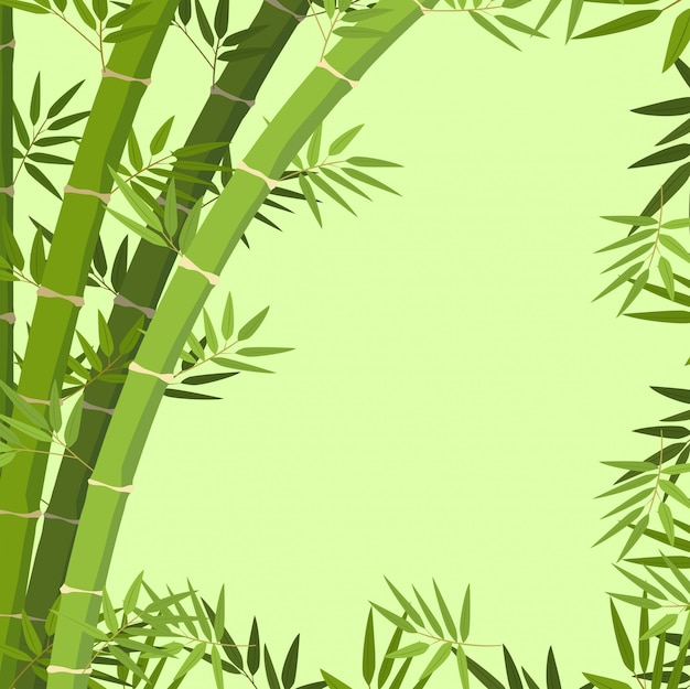 Uma borda de bambu verde