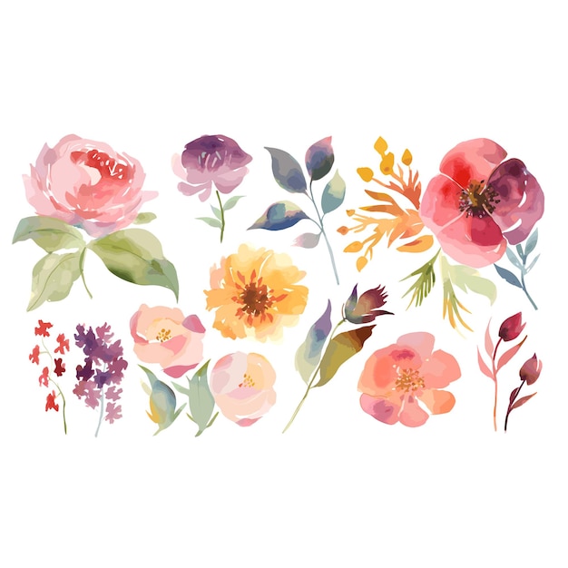 Uma borda floral em aquarela com flores.