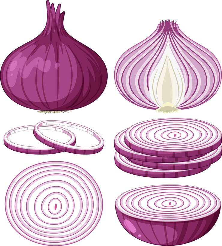 Vetor uma cebola roxa com um padrão roxo e branco