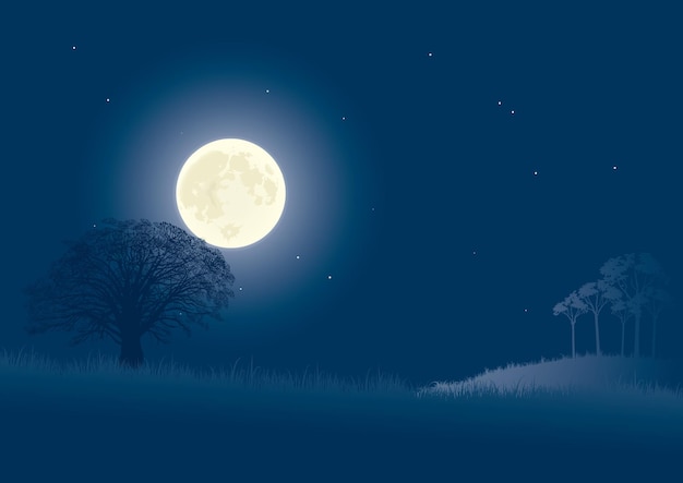 Uma cena noturna tranquila com uma lua cheia, árvores e estrelas.