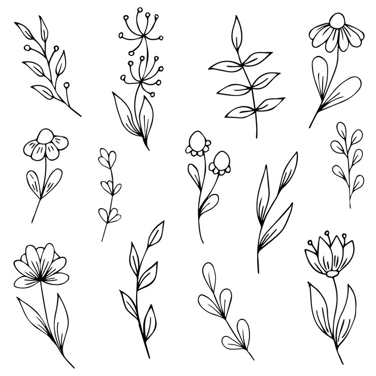 uma coleção de diferentes flores e folhas do jardim