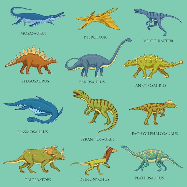 Vetor uma coleção de dinossauros, incluindo dinossauros, dinossauros e outras coisas.